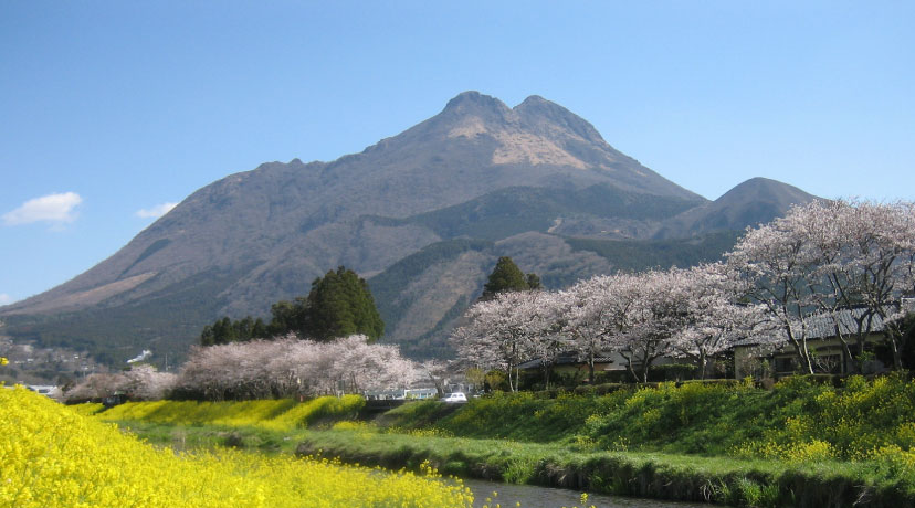 春の由布岳