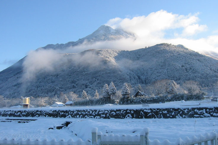 一面の雪景色