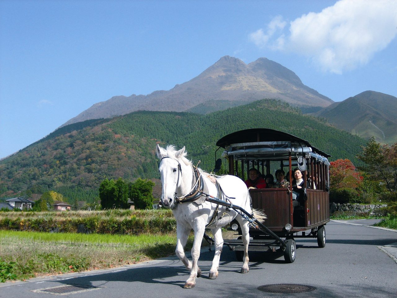 辻馬車で湯布院観光 