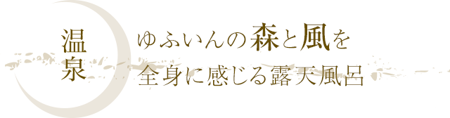 温泉 ゆふいんの森と風を全身に感じる露天風呂