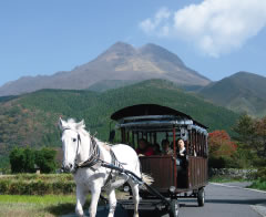 Leisure in Yufuin