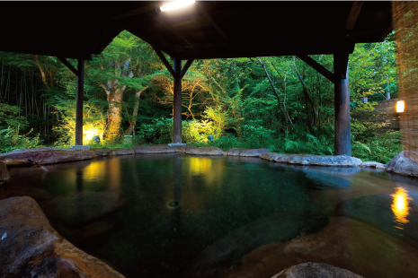 Hot Spring Baths